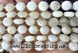 CCB2311 15 inches 12mm faceted coin white moonstone beads