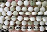 CCB2329 15 inches 12mm faceted coin Tianshan jade beads