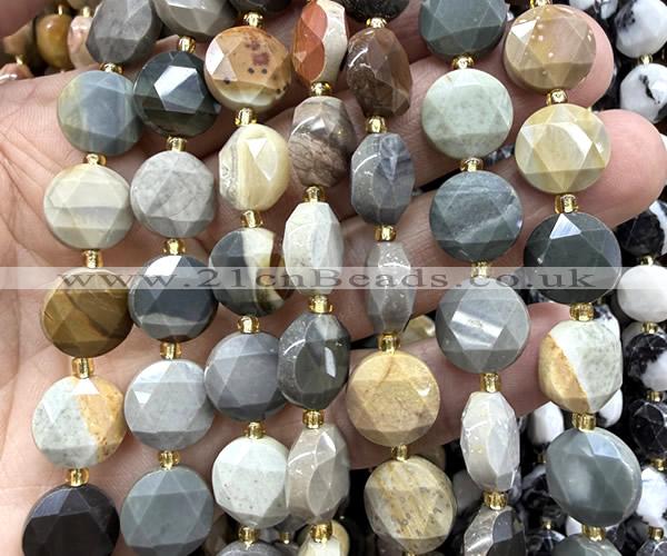 CCB2341 15 inches 12mm faceted coin American picture jasper beads