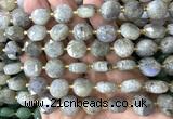 CCB2358 15 inches 12mm faceted coin labradorite gemstone beads