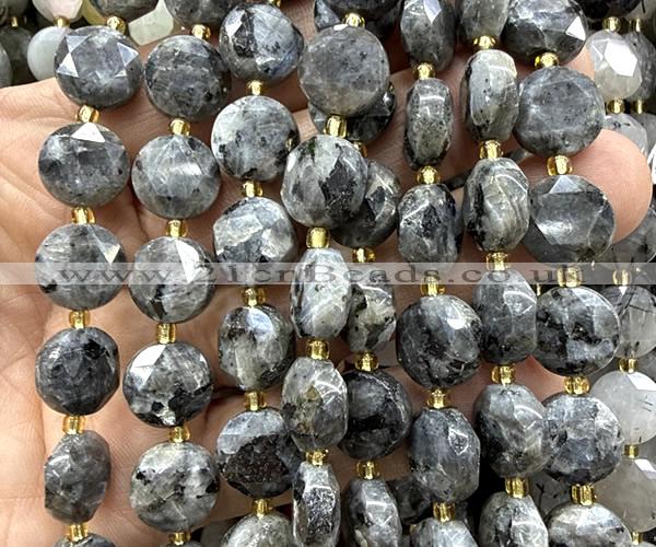 CCB2359 15 inches 12mm faceted coin black labradorite beads