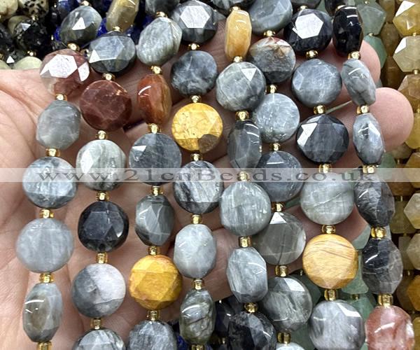 CCB2367 15 inches 12mm faceted coin eagle eye jasper beads