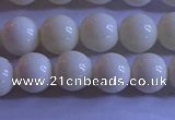 CCB302 15.5 inches 8mm round white coral beads wholesale