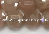 CCB683 15.5 inches 10mm faceted coin moonstone gemstone beads