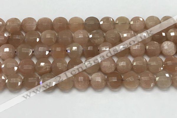 CCB683 15.5 inches 10mm faceted coin moonstone gemstone beads