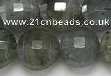 CCB684 15.5 inches 10mm faceted coin labradorite gemstone beads