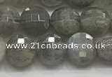 CCB706 15.5 inches 6mm faceted coin labradorite gemstone beads