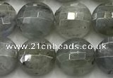 CCB726 15.5 inches 8mm faceted coin labradorite gemstone beads