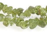 CCH16 35 inches green peridot chips gemstone beads wholesale