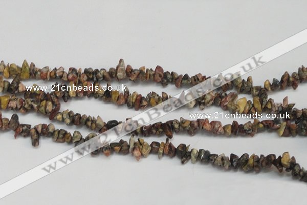 CCH204 34 inches 3*5mm red leopard skin jasper chips beads wholesale