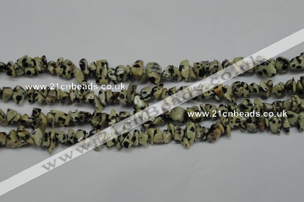 CCH228 34 inches 5*8mm dalmatian jasper chips gemstone beads wholesale