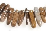 CCH26 16 inches picture jasper chips gemstone beads wholesale