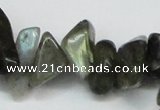 CCH277 34 inches 8*12mm labradorite chips gemstone beads wholesale