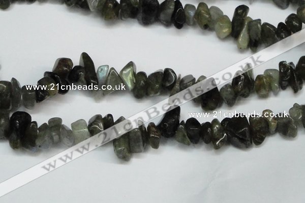 CCH277 34 inches 8*12mm labradorite chips gemstone beads wholesale