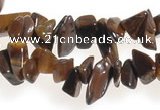 CCH30 34 inches tigers Eye chips gemstone beads wholesale