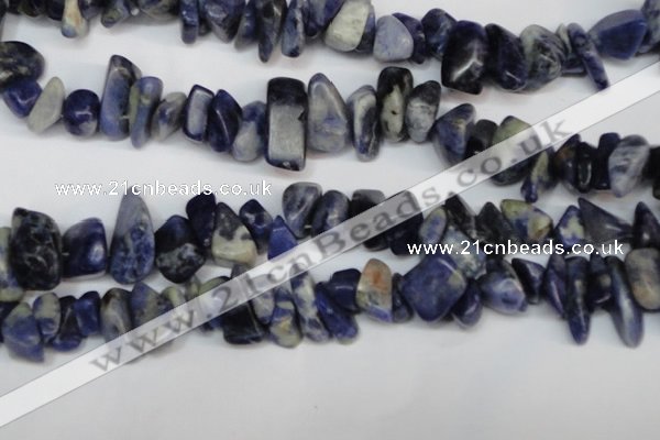 CCH300 34 inches 8*12mm sodalite chips gemstone beads wholesale