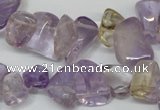 CCH314 15.5 inches 10*15mm ametrine chips gemstone beads wholesale