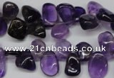 CCH315 15.5 inches 10*15mm amethyst chips gemstone beads wholesale