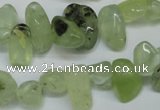 CCH318 15.5 inches 10*15mm prehnite chips gemstone beads wholesale