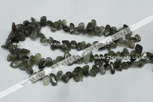 CCH320 15.5 inches 10*15mm labradorite chips gemstone beads wholesale