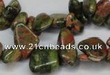 CCH323 15.5 inches 10*15mm unakite chips gemstone beads wholesale