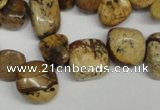 CCH331 15.5 inches 10*15mm picture jasper chips beads wholesale