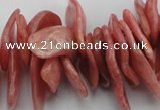 CCH401 15.5 inches 15*28mm - 18*35mm argentina rhodochrosite chips beads