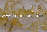 CCH612 15.5 inches 6*8mm - 10*14mm citrine chips gemstone beads