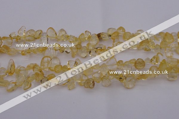 CCH612 15.5 inches 6*8mm - 10*14mm citrine chips gemstone beads