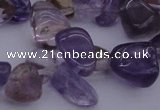 CCH614 15.5 inches 6*8mm - 10*14mm ametrine chips gemstone beads