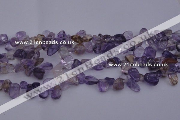 CCH614 15.5 inches 6*8mm - 10*14mm ametrine chips gemstone beads