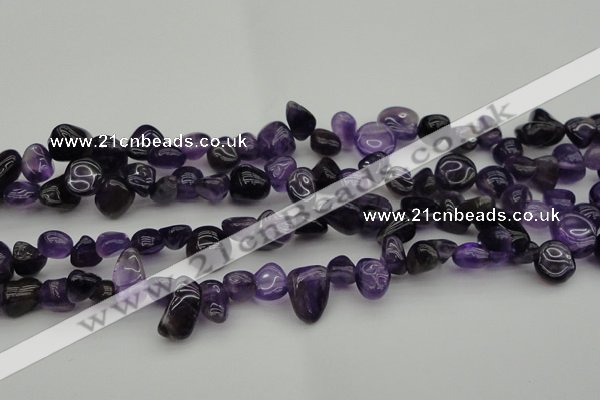 CCH615 15.5 inches 6*8mm - 10*14mm amethyst chips gemstone beads