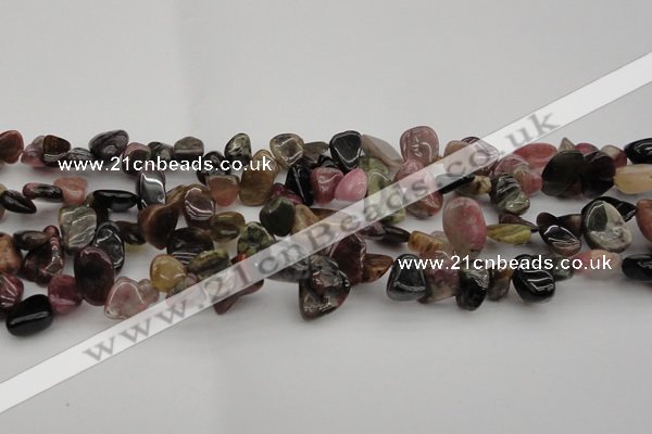 CCH616 15.5 inches 6*8mm - 10*14mm amethyst chips gemstone beads