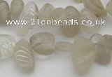 CCH622 15.5 inches 6*8mm - 10*14mm golden rutilated quartz chips beads