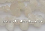 CCH624 15.5 inches 6*8mm - 10*14mm white moonstone chips beads