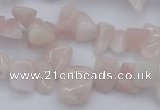 CCH626 15.5 inches 6*8mm - 10*14mm morganite gemstone chips beads