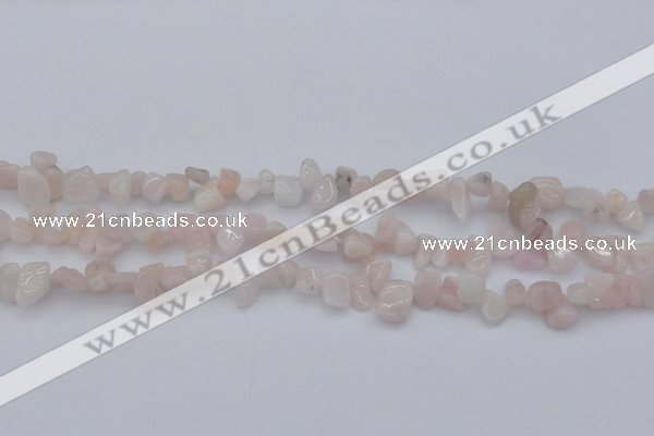 CCH626 15.5 inches 6*8mm - 10*14mm morganite gemstone chips beads