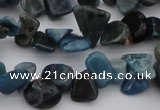 CCH628 15.5 inches 6*8mm - 10*14mm apatite gemstone chips beads