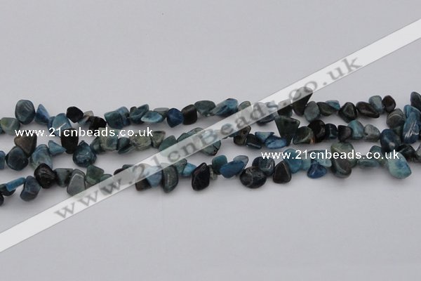 CCH628 15.5 inches 6*8mm - 10*14mm apatite gemstone chips beads