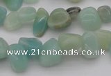 CCH630 15.5 inches 6*8mm - 10*14mm Chinese amazonite chips beads