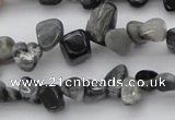 CCH633 15.5 inches 6*8mm - 10*14mm eagle eye jasper chips beads