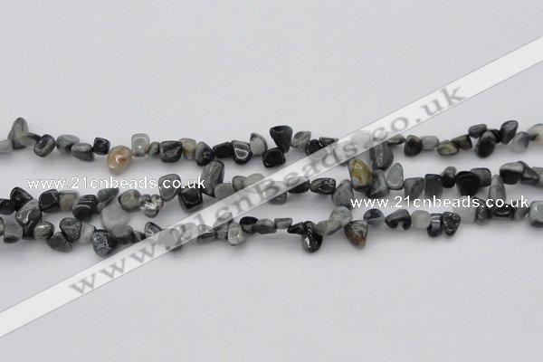 CCH633 15.5 inches 6*8mm - 10*14mm eagle eye jasper chips beads