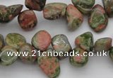 CCH636 15.5 inches 6*8mm - 10*14mm unakite gemstone chips beads