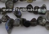 CCH642 15.5 inches 6*8mm - 10*14mm labradorite chips beads