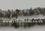 CCH645 15.5 inches 4*6mm - 5*8mm labradorite chips beads