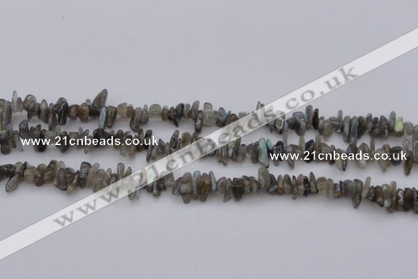 CCH646 15.5 inches 4*10mm - 6*14mm labradorite chips beads