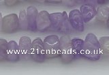 CCH648 15.5 inches 8*12mm - 10*14mm lavender amethyst chips beads