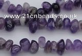 CCH649 15.5 inches 4*6mm - 5*8mm amethyst gemstone chips beads