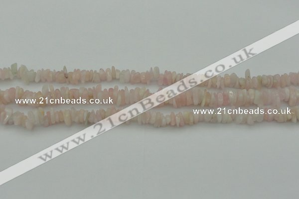 CCH656 15.5 inches 5*8mm - 6*10mm morganite gemstone chips beads