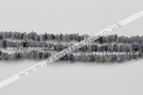 CCH658 15.5 inches 4*6mm - 5*8mm iolite gemstone chips beads